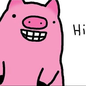 Meet your Posher, Ana